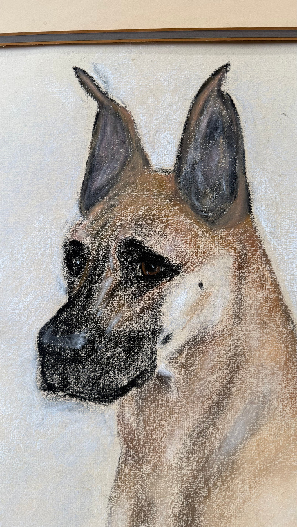 Vintage Original Pastel Great Dane Portrait by Eve Myles
