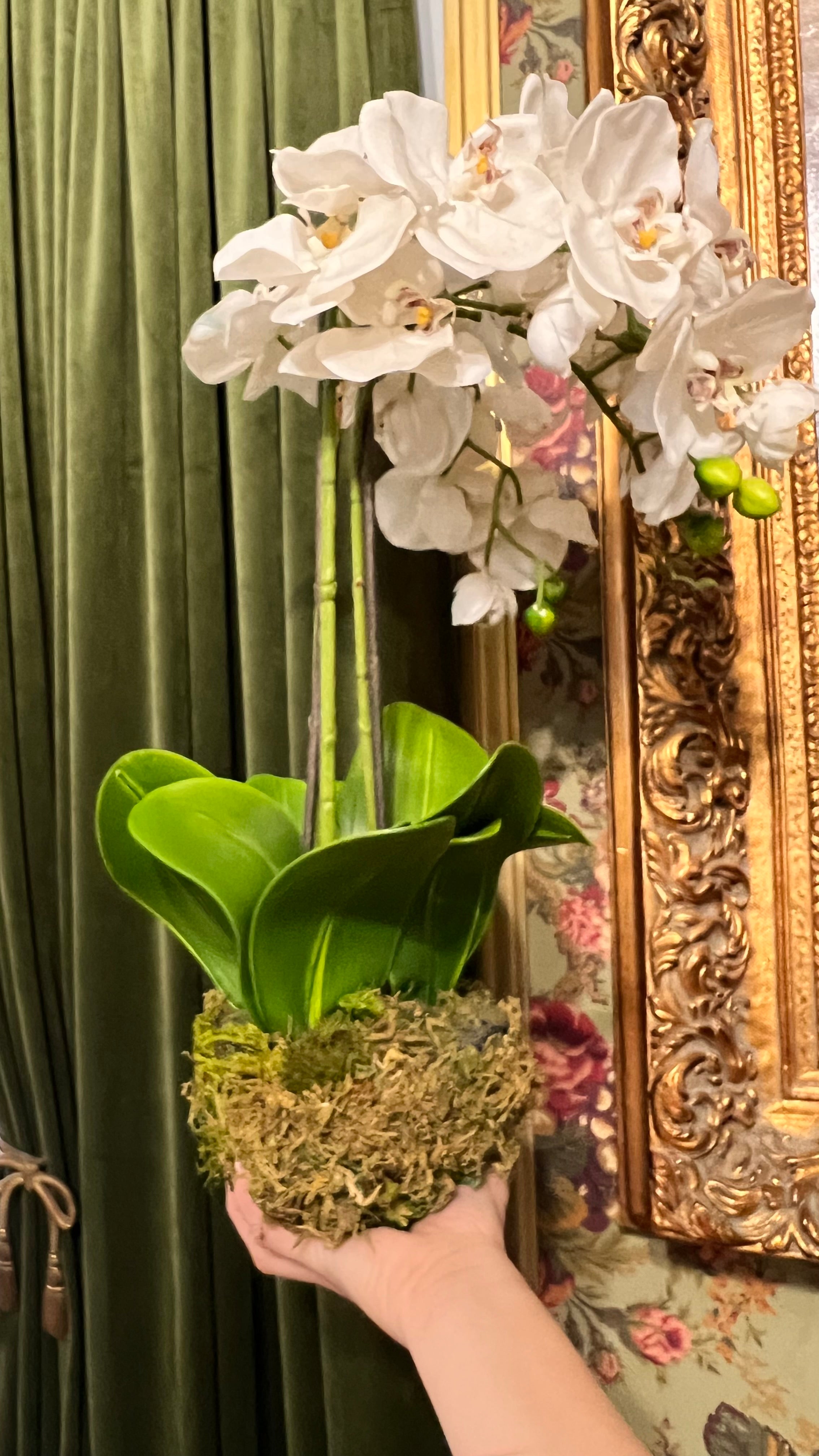 White faux Phalaenopsis orchid drop-in 21”