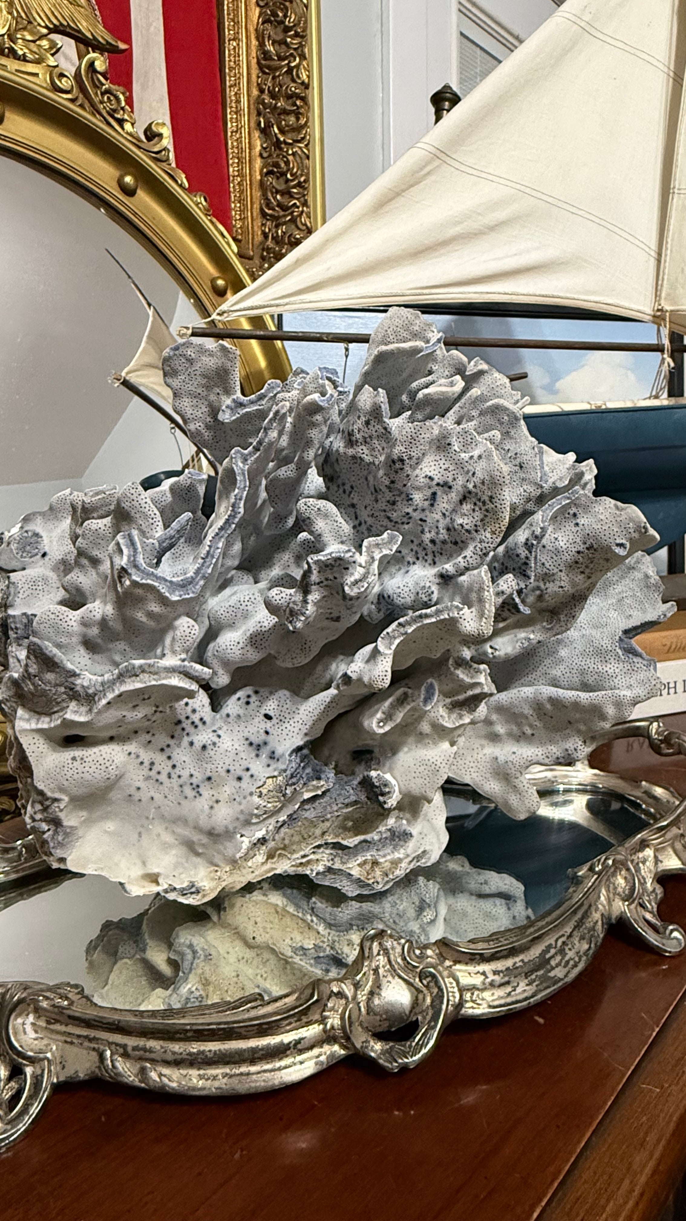 Natural Blue Ridge Coral 12’in