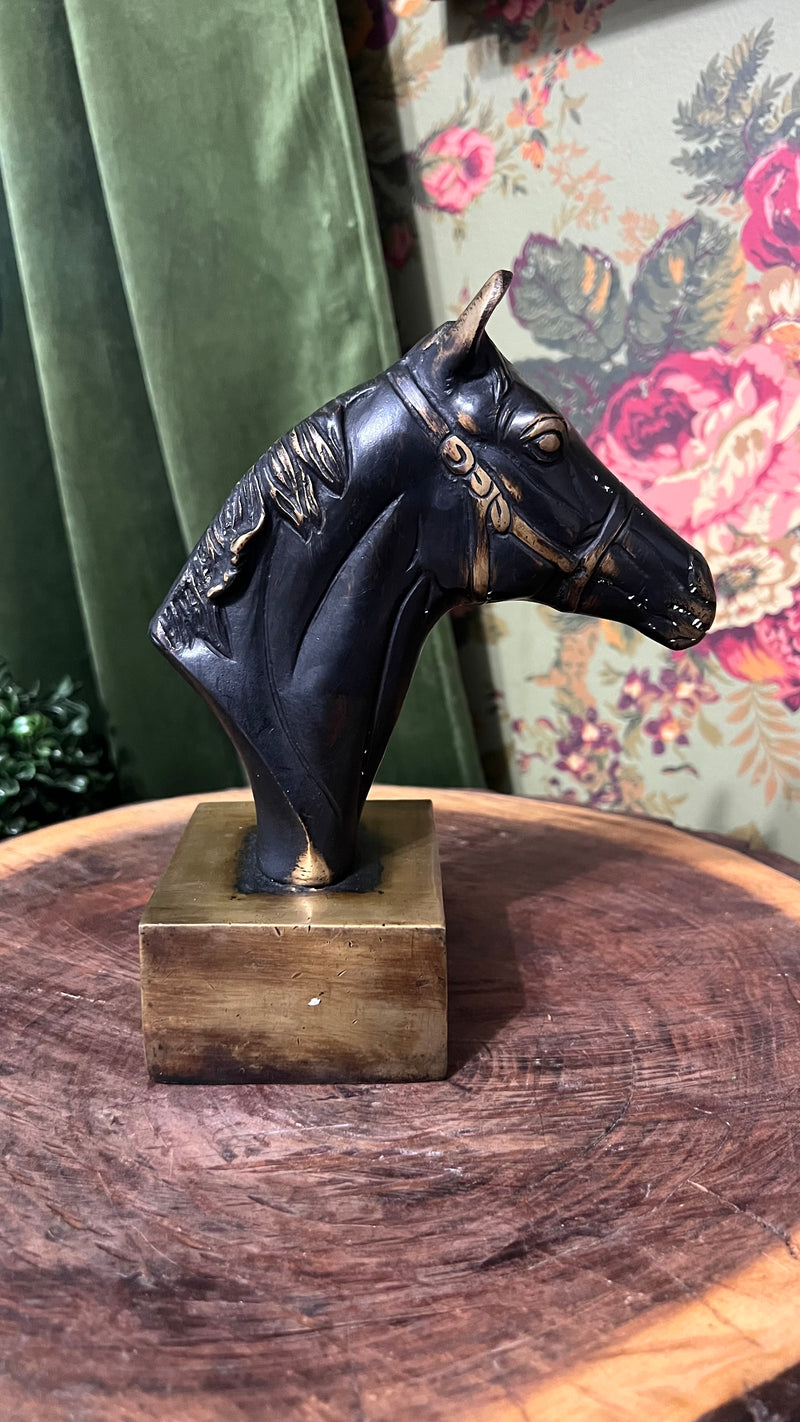 Solid brass black stallion bust on a stand
