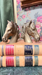 Antique leather bound large books