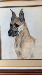 Vintage Original Pastel Great Dane Portrait by Eve Myles