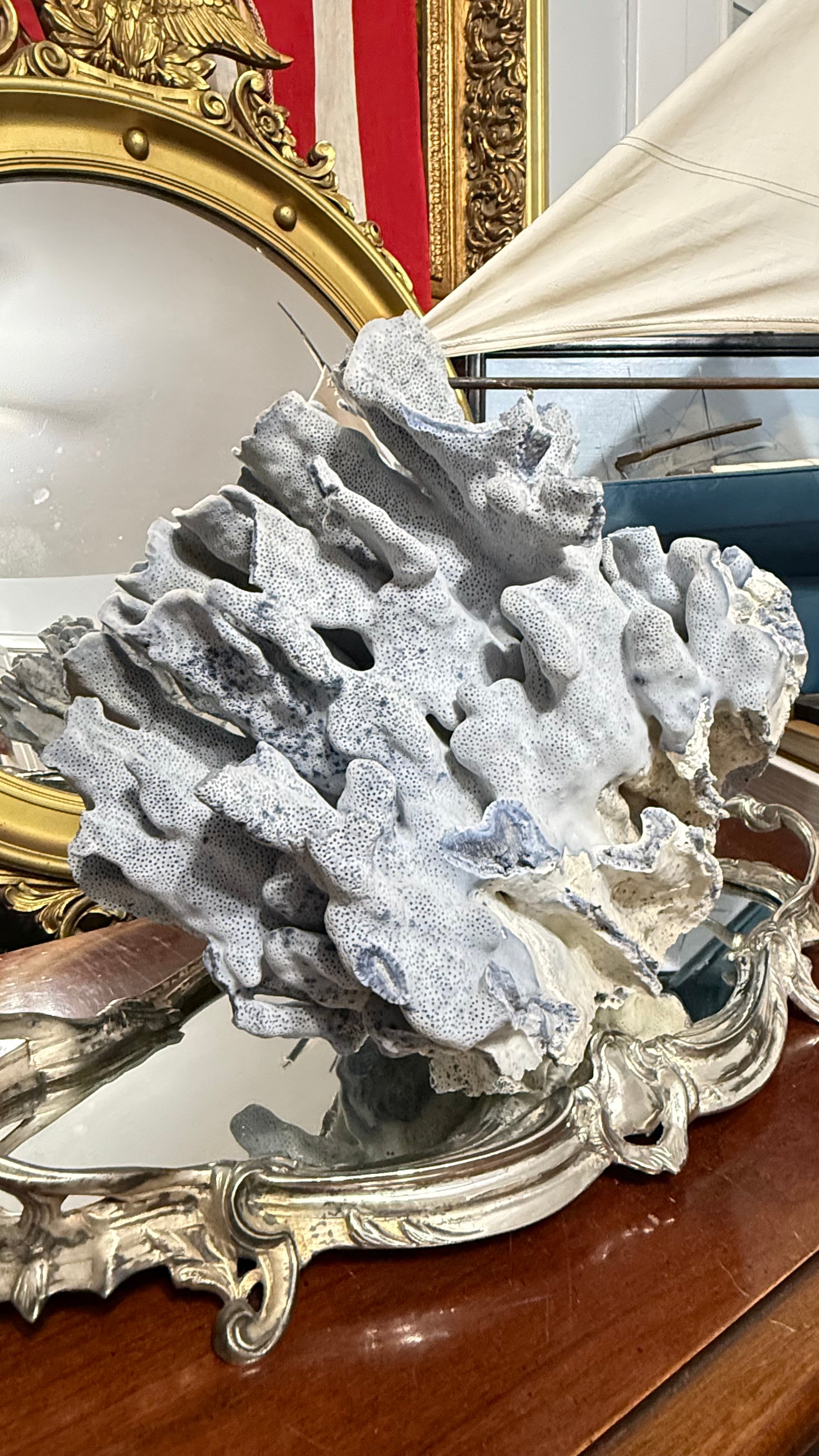 Natural Blue Ridge Coral 12’in