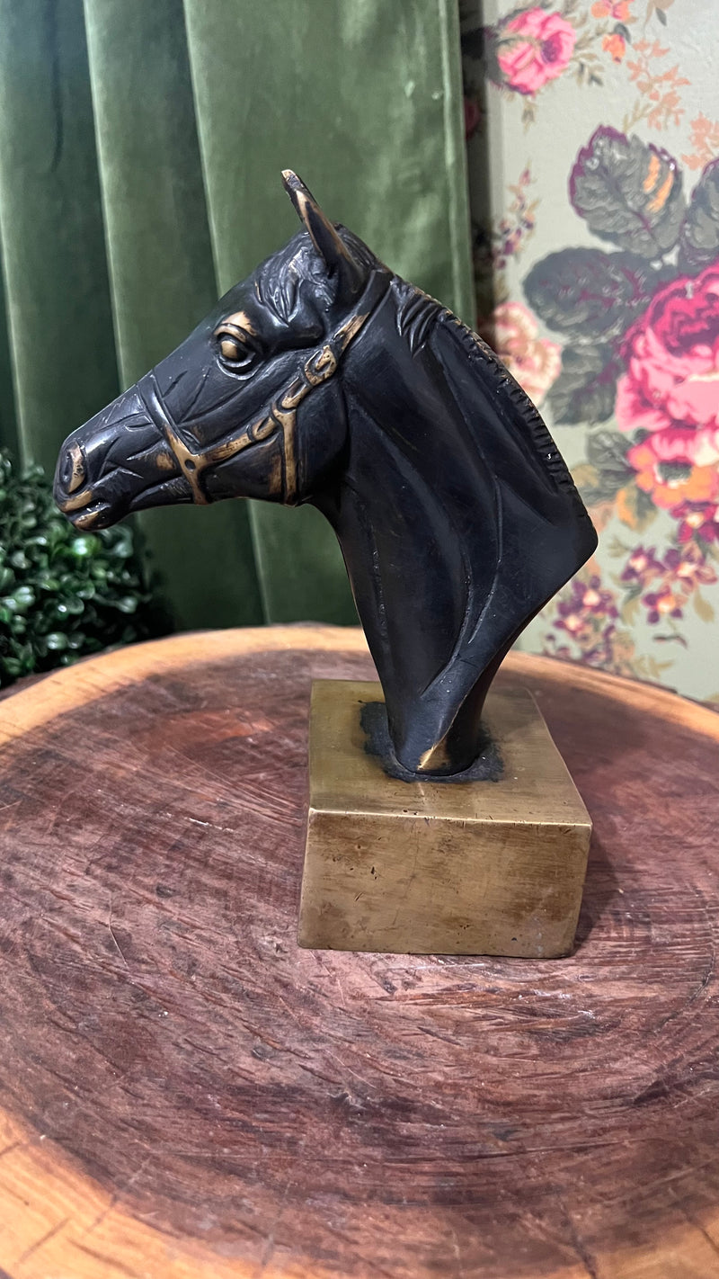 Solid brass black stallion bust on a stand