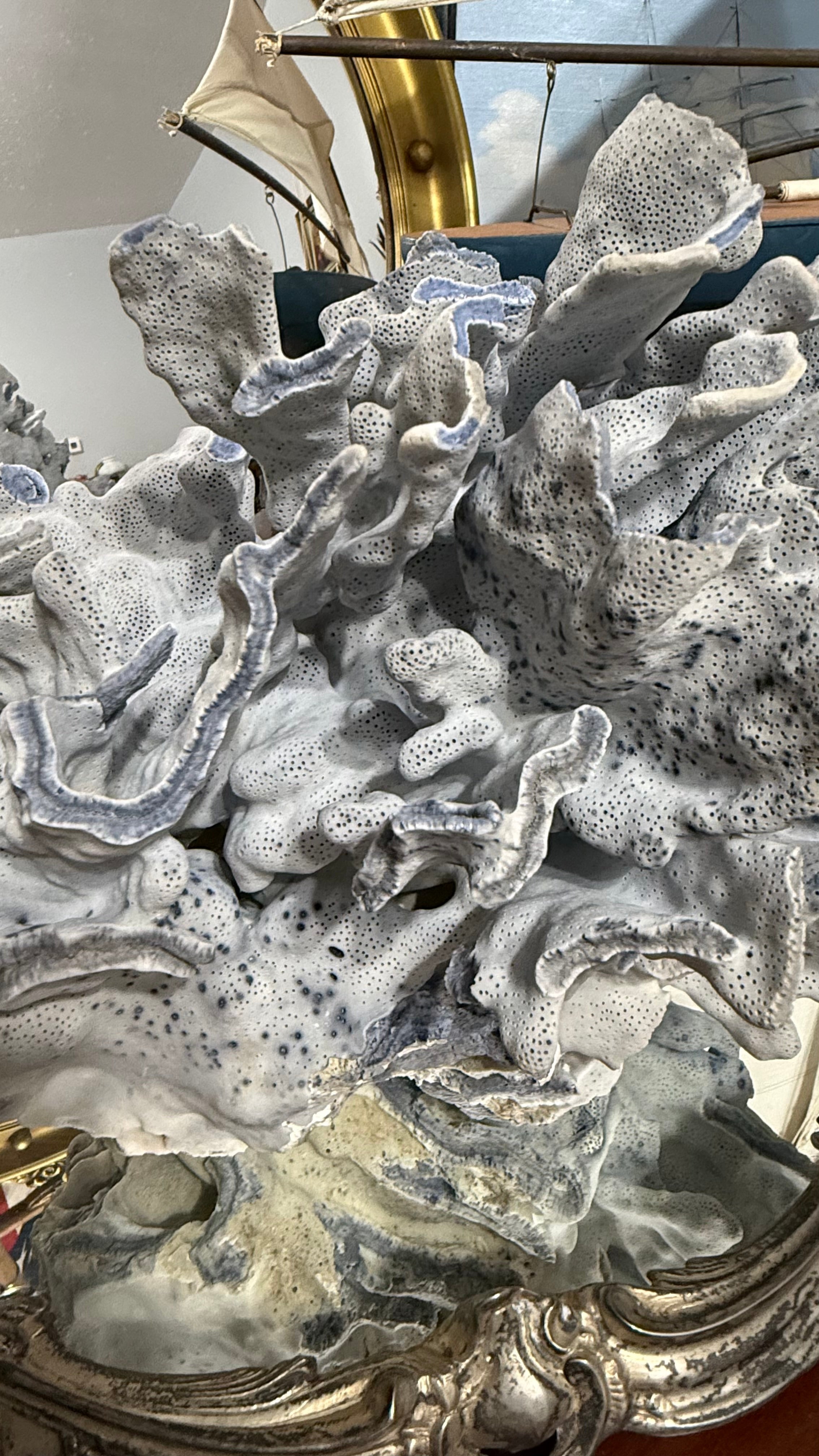 Natural Blue Ridge Coral 12’in