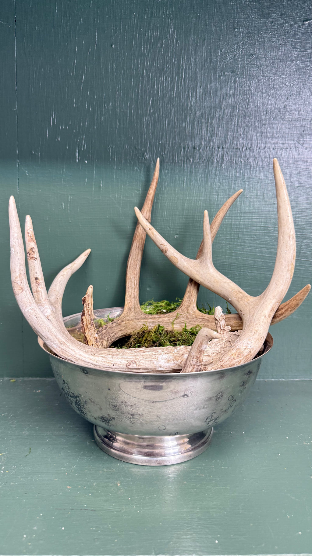 (Reserved) Won Lee riser & revere bowl w/ antlers