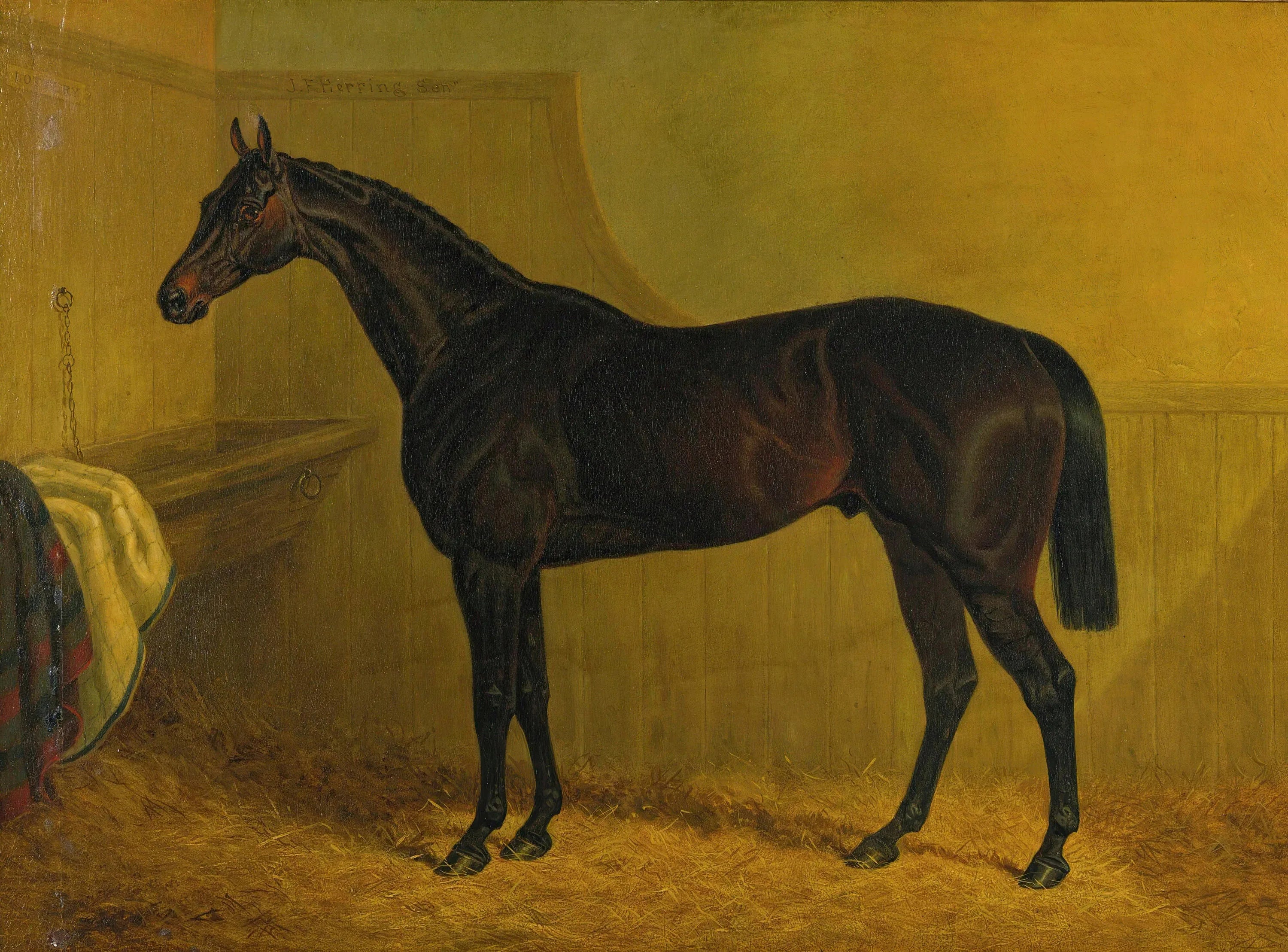 Vintage Race & Show Horse Equestrian Posters and Prints Canvas Painting Retro Wall Art Picture for Living Room Home Decor